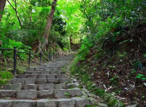 国上山　山道